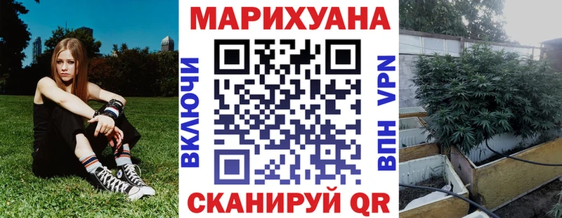 Купить где  Бакал  МАРИХУАНА Amnesia 